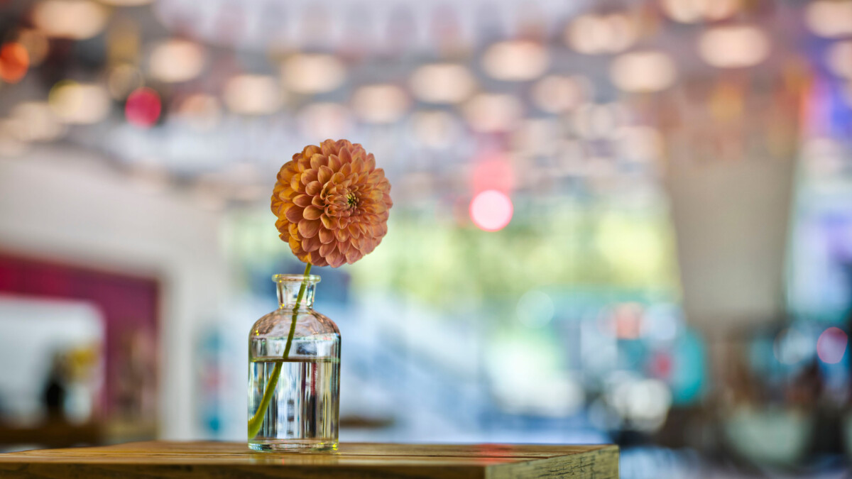 SER_Raumgestaltung_Raum